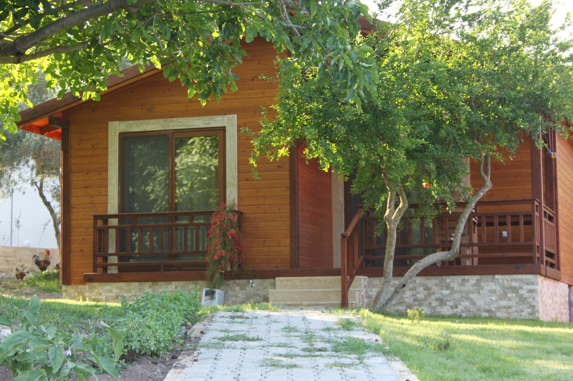 Villa Bilge Cirali Exterior photo
