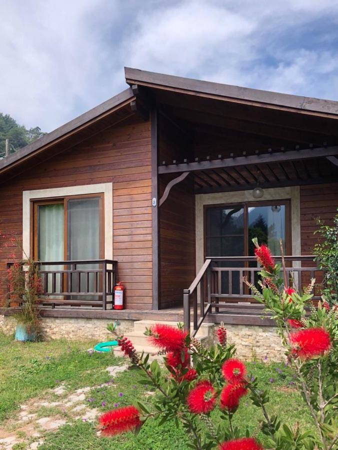Villa Bilge Cirali Exterior photo