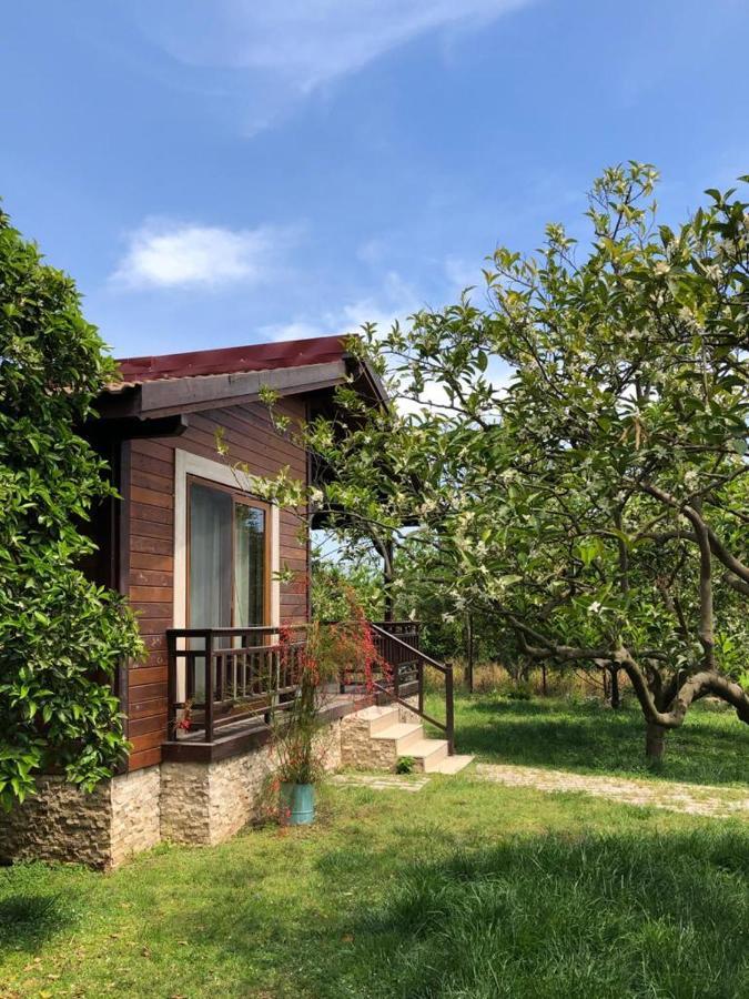 Villa Bilge Cirali Exterior photo