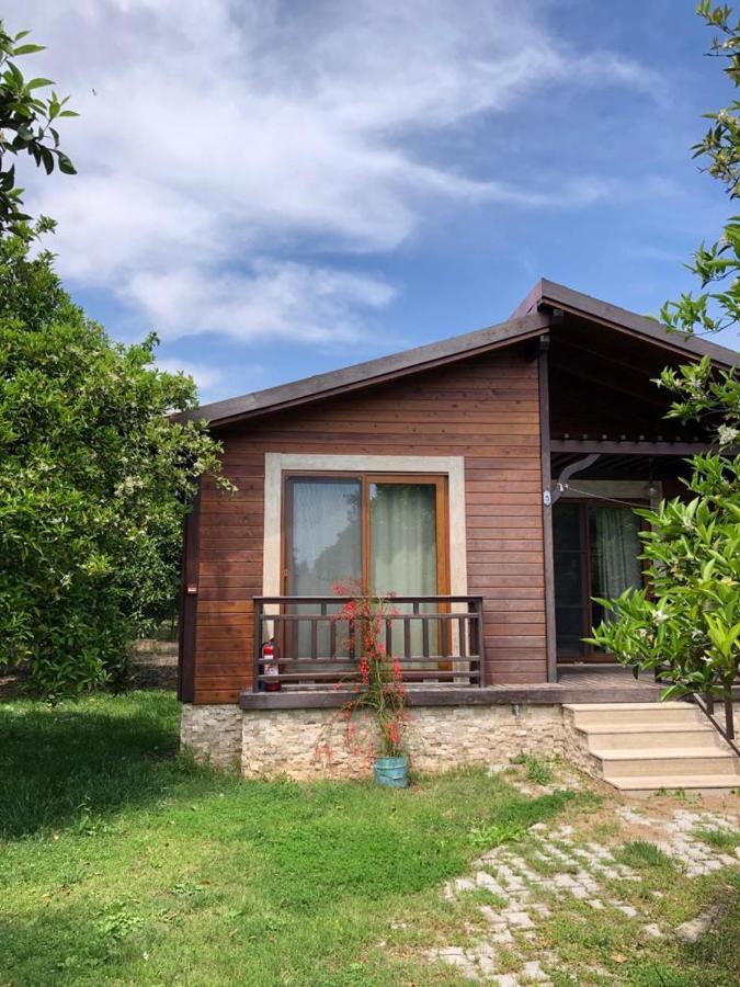 Villa Bilge Cirali Exterior photo